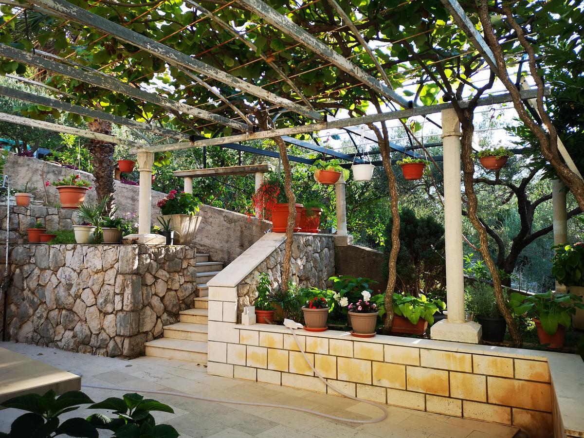 Apartments And Rooms Villa Mir Затон Екстериор снимка